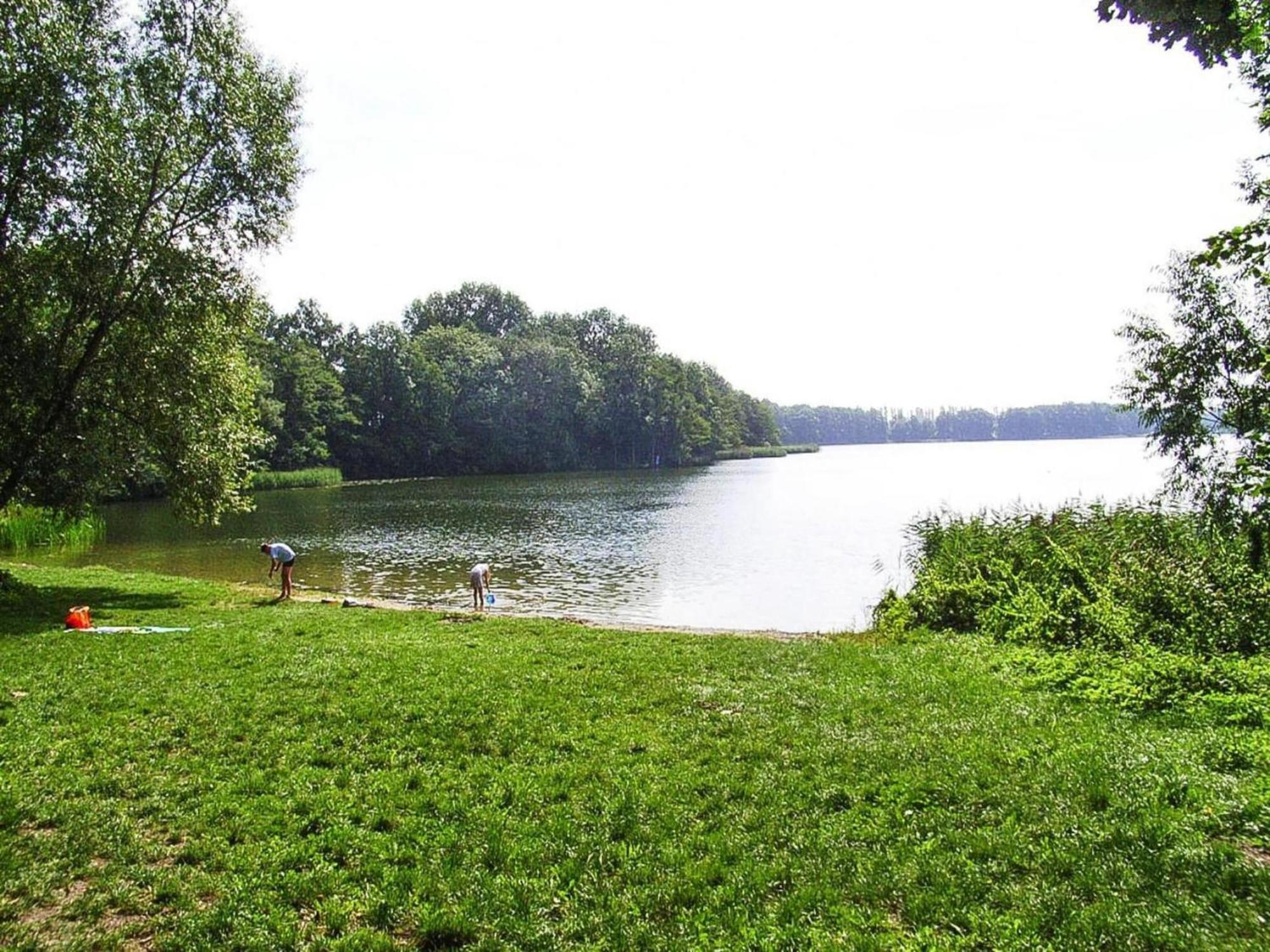 Ferienhaus Am Duemmer See In Perlin Екстериор снимка